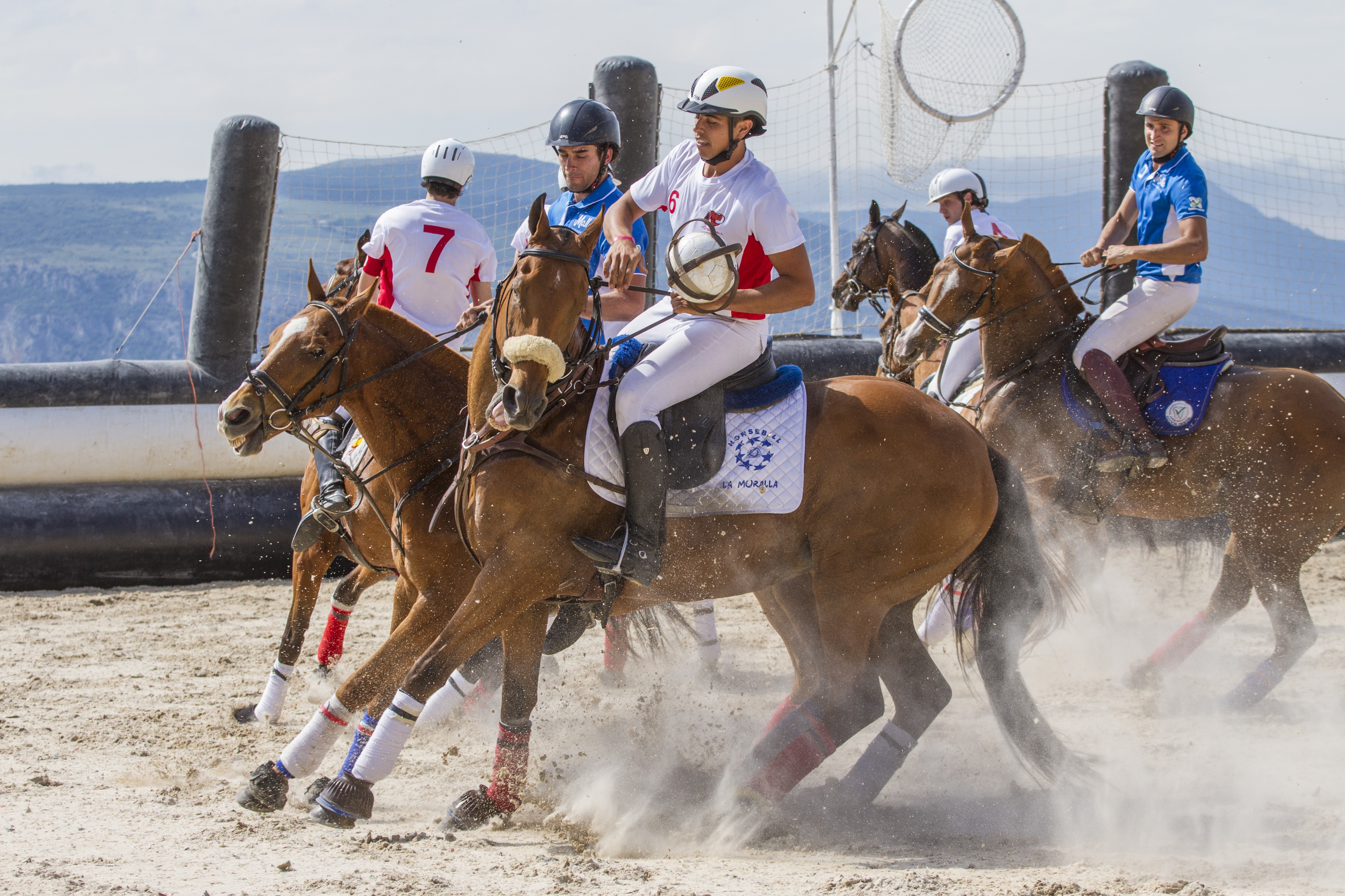 Triplete catalán en el Campeonato de España de Horseball